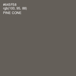 #645F58 - Pine Cone Color Image